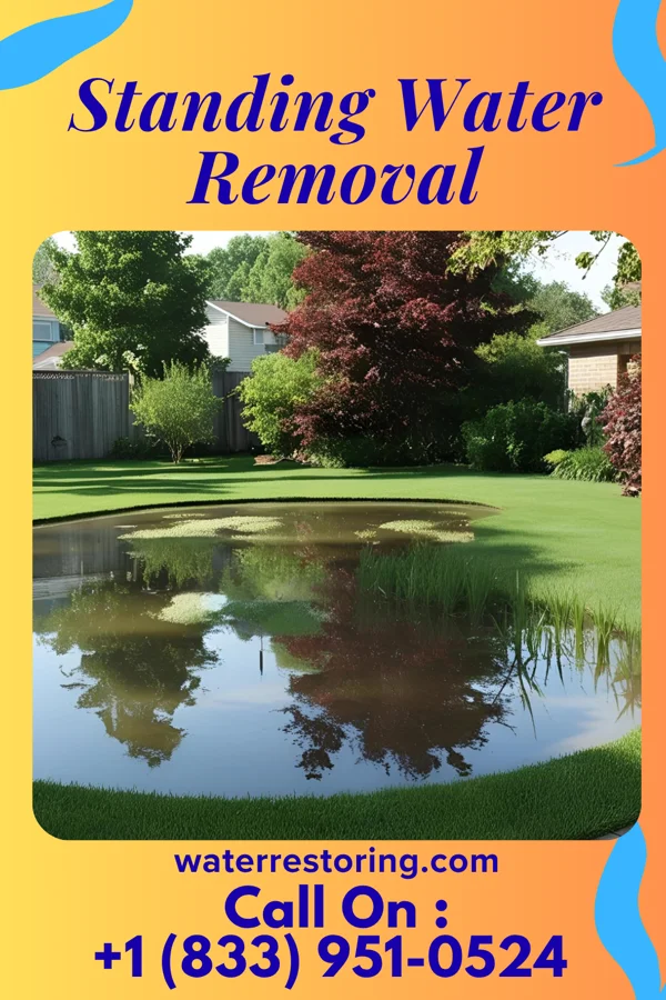 Standing Water Removal in Bent Tree Harbor, MO